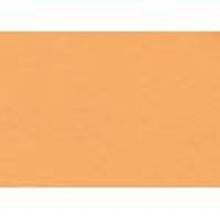 Обложка картон (кожа) A4, 100 шт, оранжевый
