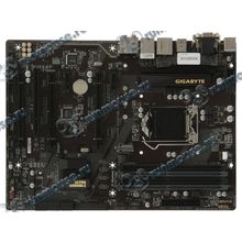 Мат. плата Socket1151 GIGABYTE "GA-B250-HD3P" (iB250, 4xDDR4, M.2, SATA III, 3xPCI-E, D-Sub, DVI, HDMI, 1Гбит LAN, USB3.1, ATX) (ret) [139463]