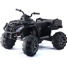 Детский квадроцикл Grizzly Next Black 4WD с пультом управления 2.4G - BDM0909