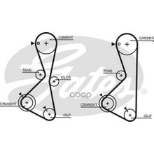 Ремень Грм Gates арт. 5373XS