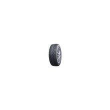 Nokian Hakkapeliitta R2 SUV 235 65 R18 110R
