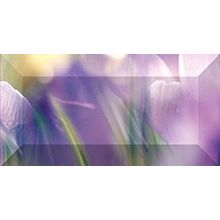 Бордюр Ceramica Classic Crocus br1020D286-2 100х200