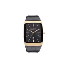 Мужские часы Skagen 984LRLB