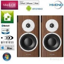 Dynaudio Focus 200 XD Matt Walnut