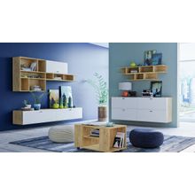 Подвесная гостиная SNOW WOOD (Сноу вуд) К2 (модульная)