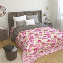 Сирень «Розлис»