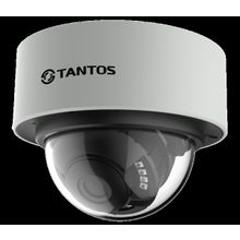 Видеокамера TANTOS TSi-Vn425VP