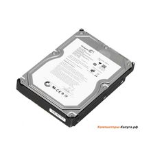 Жесткий диск 1Tb Seagate ST31000524AS SATA III Barracuda 7200.12 &lt;7200rpm, 32Mb&gt;