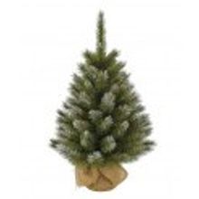 Triumph Tree Ель "Женева" 60 см в мешочке заснеженная
