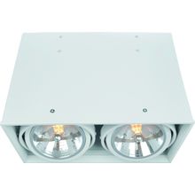 Потолочный светильник Arte Lamp A5936PL-2WH CARDANI