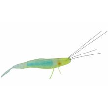 Имитация креветки Powerbait Yabai Shrimp 3,2", арт.HBYS3.2-CH Berkley