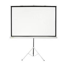 экран Cactus Triscreen CS-PST-150x150, 84 (213 см), 1:1, 153 x 153 см, на штативе, Matte White белый