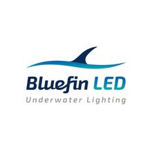 Foresti & Suardi Cветильник подводный Bluefin Led Foresti & Suardi Maco 24 В 70 Вт синий свет