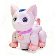 31 ВЕК «Робокот»