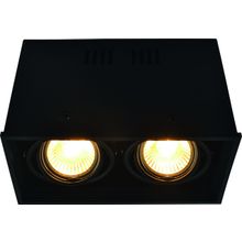 Потолочный светильник Arte Lamp A5942PL-2BK CARDANI