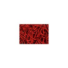 SH Carpets Co. Ltd Ковер Шегги полиэстер ТЕРРА 5834