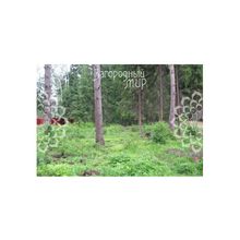 Минское, 33 км от МКАД, Одинцовский р-н, Сивково, Размер участка: 10 сот.