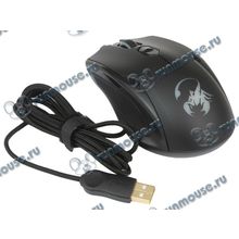 Оптическая мышь Genius "Ammox X1-400", 3кн.+скр., черный (USB) (ret) [137923]