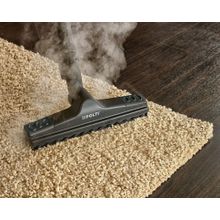 POLTI Vaporetto Lecoaspira FAV20