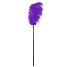 Blush Novelties Стек с большим фиолетовым пером Large Feather Tickler - 65 см. (фиолетовый)