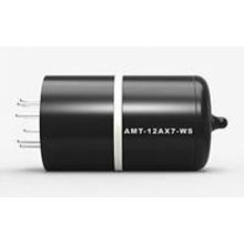 12AX7-WS Warm Stone Твердотельный аналог лампы 12AX7, AMT Electronics