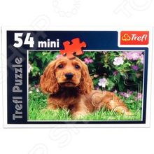 Trefl «Любимые питомцы»