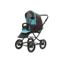 Noordi 2 в 1 Polaris CL коричнево-голубая