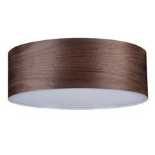 Paulmann Потолочный светильник Paulmann Liska 79687 ID - 58118