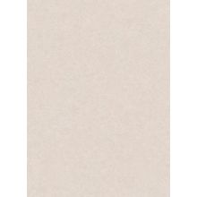 Обои виниловые Erismann Keneo 1764-14