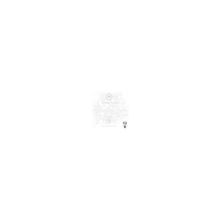 Оверлей (прозрачный лист с рисунком) BeeHive, серия Forget-me-not, Kaisercraft