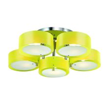 Светильник потолочный ST Luce Foresta SL483.092.05