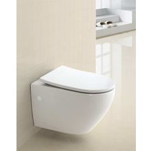 Чаша унитаза подвесного BelBagno SFERA-R  BB513CH