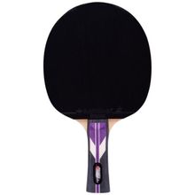 Ракетка для настольного тенниса Roxel Stellar 4* (1123387)