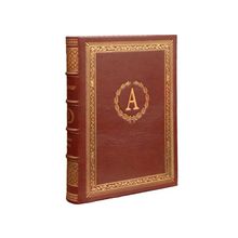 Александр (именная подарочная книга)
