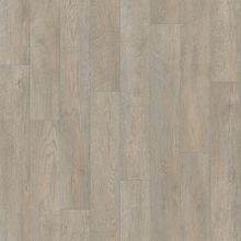 Tarkett Discovery Hudson 2 2.5 м*25 м 3.5 мм