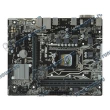 Мат. плата Socket1151 ASUS "PRIME B250M-K" (iB250, 2xDDR4, M.2, SATA III, PCI-E, D-Sub, DVI, 1Гбит LAN, USB3.0, mATX) (ret) [137347]