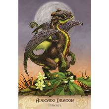 Карты Таро "Field Guide to Garden Dragons" (FGD46)