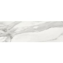 Baldocer Invictus Gloss 20x60 см