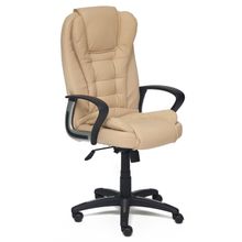 ПМ: Tetchair Baron