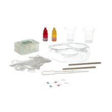 Bondibon Янтарная фабрика Французские опыты Науки с Буки