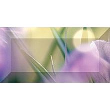 Бордюр Ceramica Classic Crocus br1020D286-1 100х200
