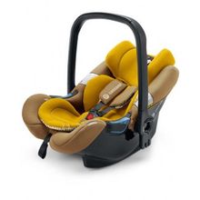 Concord Air.Safe 2016 Sweet Curry