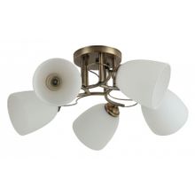 Rivoli Потолочная люстра Rivoli Carlo Б0044453 ID - 464730