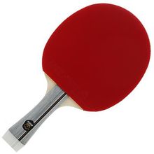 Ракетка для настольного тенниса BOER 1STAR ECO, 1 звезда, в полном, мягком чехле