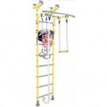 Midzumi Hoshi Basketball Shield