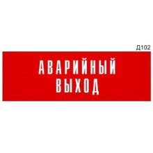 Информационная табличка «Аварийный выход» на дверь прямоугольная Д102 (300х100 мм)