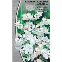 Кларкия изящная  Альбина  0,2 гр