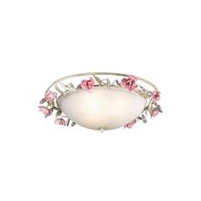 Потолочный светильник Odeon Oxonia 2585 3