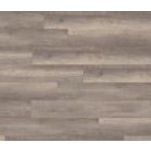 Дуб Темный Уэлш