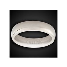 Кольцо из титана future